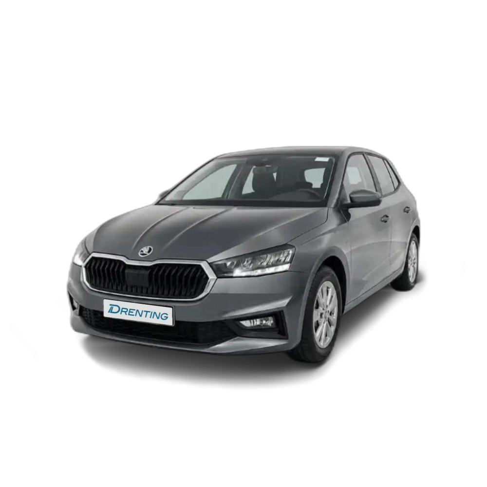 Skoda Fabia 1.0 TSI Selection 70kW Gris 4