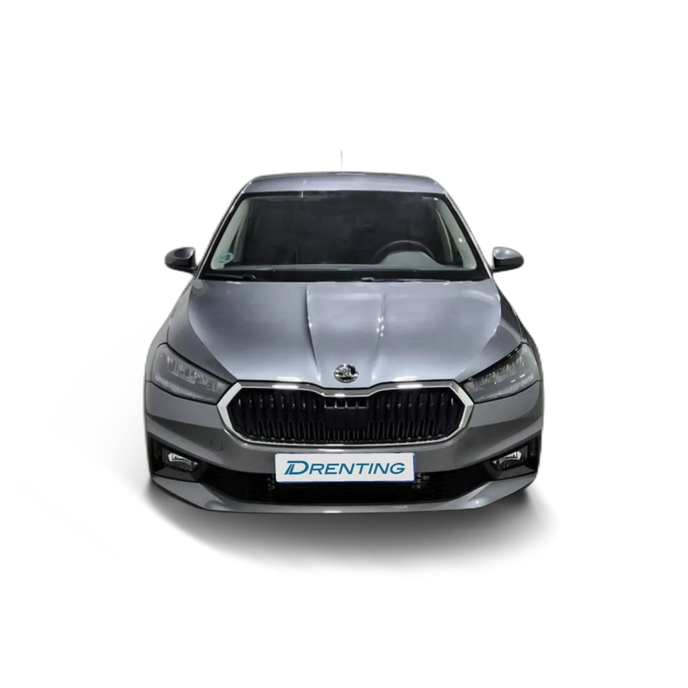 Renting Skoda Fabia 1.0 TSI Selection DSG 85kW Gris
