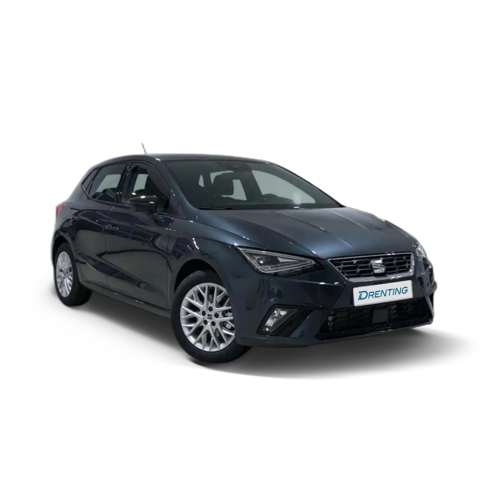 SEAT Ibiza 1.0 TSI S&S FR Salta 115 Gris 3