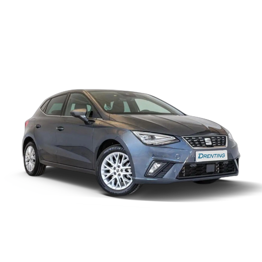 SEAT Ibiza 1.0 TSI S&S Special Edition 115 Gris