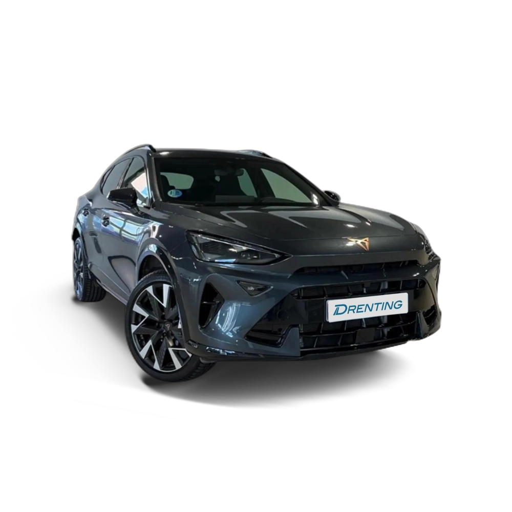 CUPRA Formentor 1.5 eTSI 150 DSG Gris
