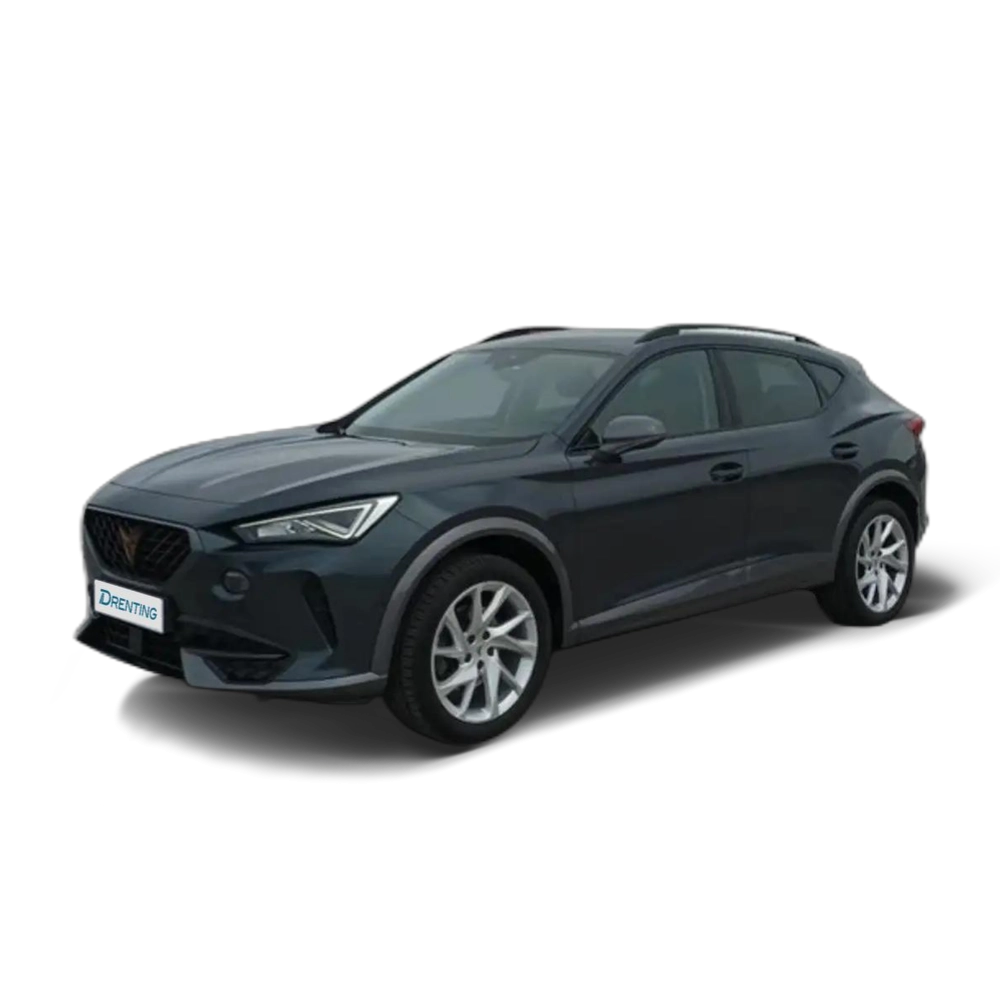 CUPRA Formentor 1.5 eTSI 150 DSG Gris 1
