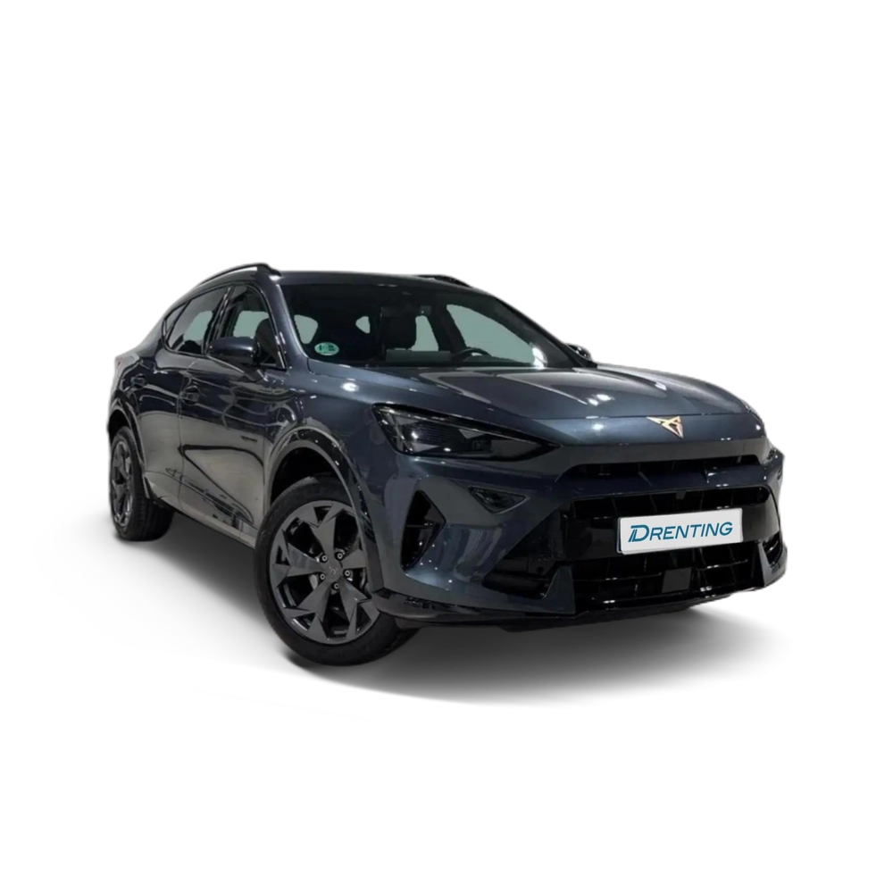 CUPRA Formentor 1.5 TSI 150 Gris 1 2