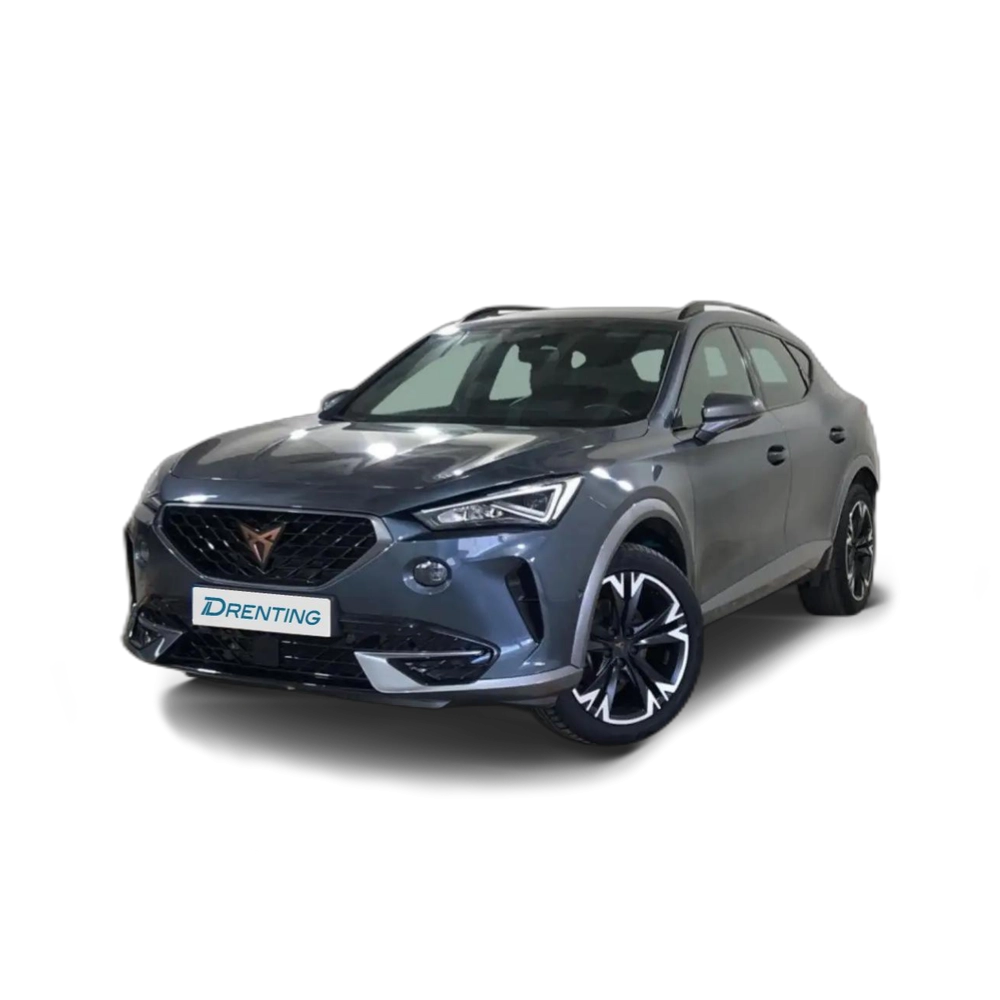 CUPRA Formentor 1.5 TSI 150 DSG Gris 4