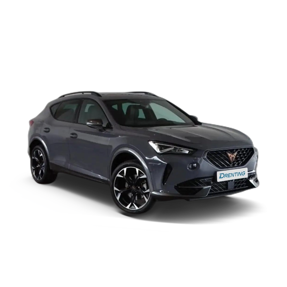 CUPRA Formentor 1.5 TSI 150 DSG Gris 4 1