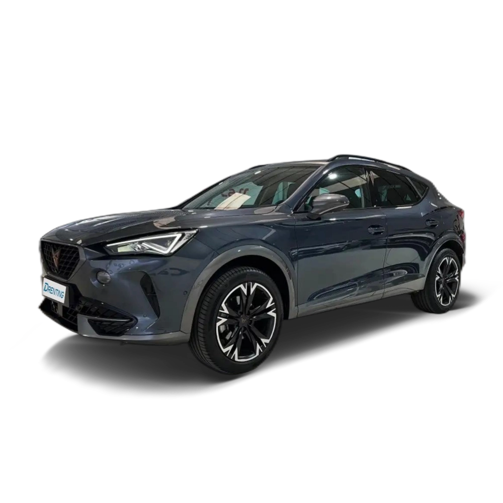 CUPRA Formentor 1.5 TSI 150 DSG Gris 1