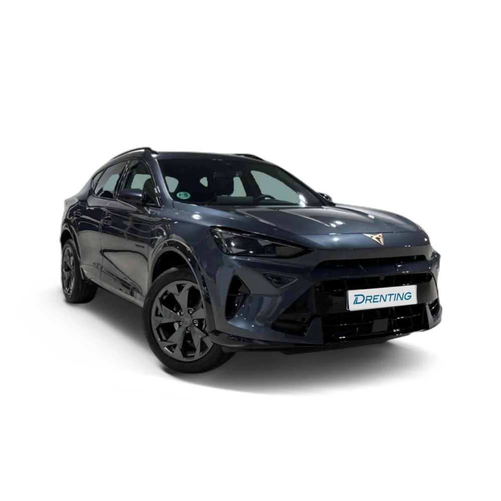 CUPRA Formentor 1.5 TSI 150 Gris 1
