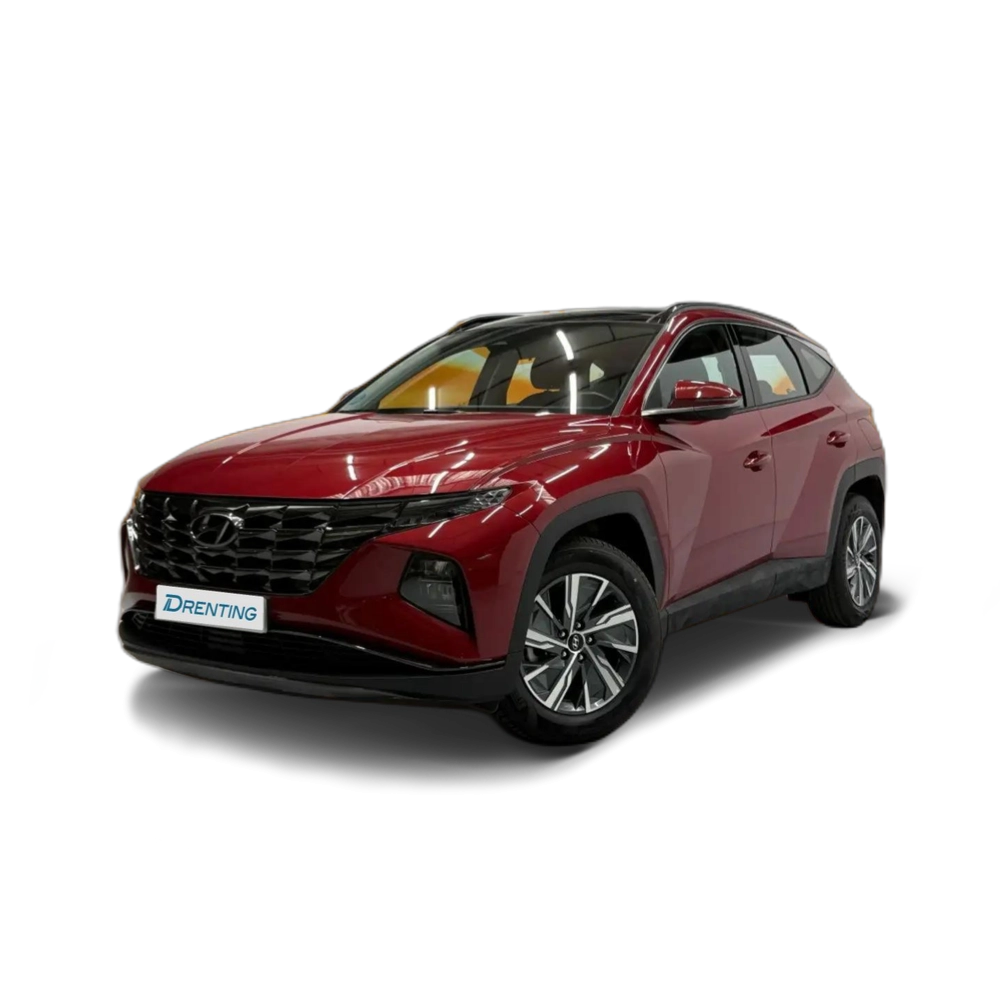 Hyundai TUCSON 1.6 TGDI HEV Maxx Sky AT Burdeos