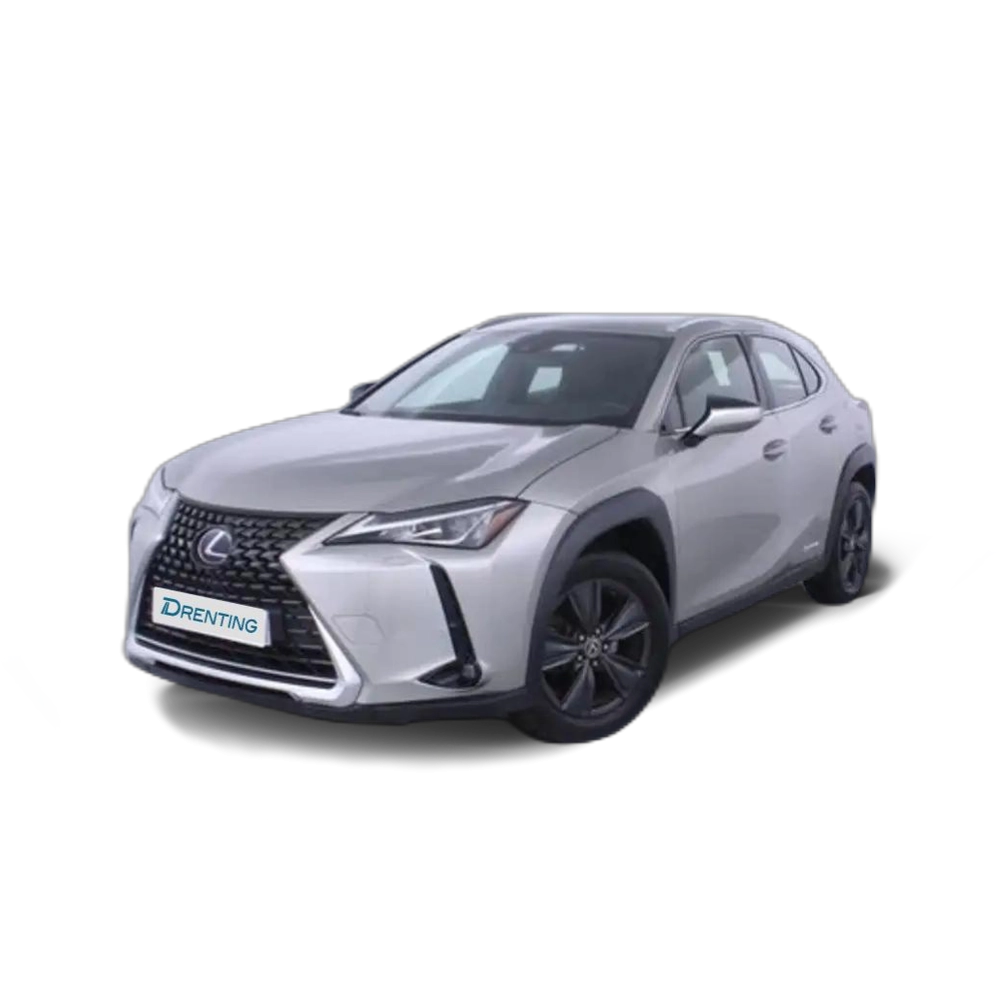 Lexus UX 250h 2.0 Business Gris