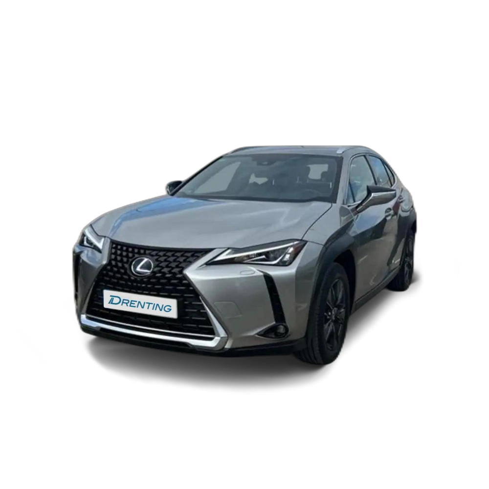Lexus UX 250h 2.0 BUSINESS AUTO 184 5P Gris