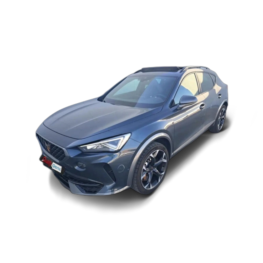 CUPRA Formentor 2.0 TSI 310 VZ DSG 4Drive Gris