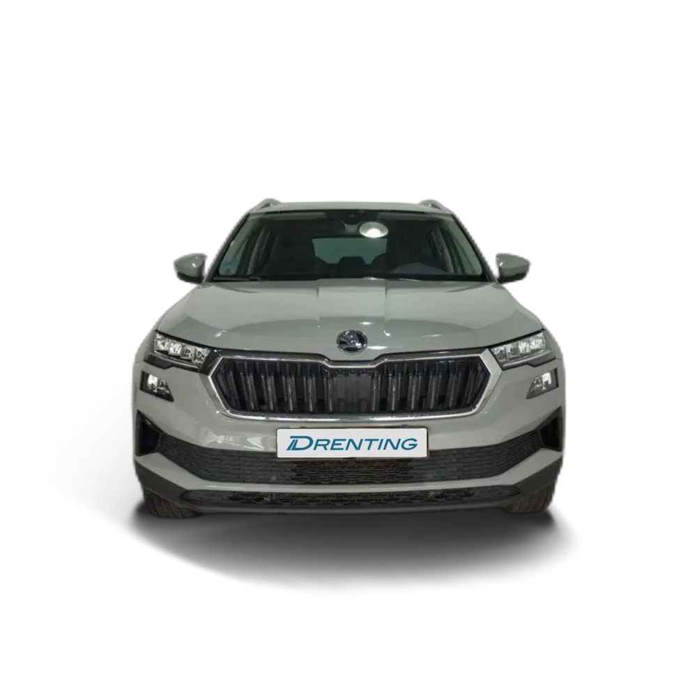 Skoda Karoq 2.0TDI Adblue Selection 85kW Gris