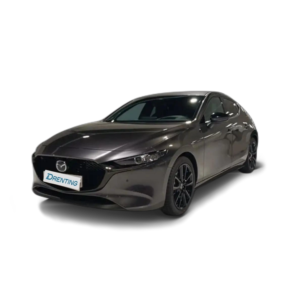 Mazda 3 2.5 e-Skyactiv-G Homura Aut. 103kW Gris
