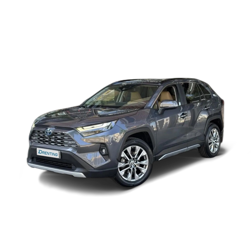 Toyota RAV 4 2.5 hybrid 2WD Luxury Gris