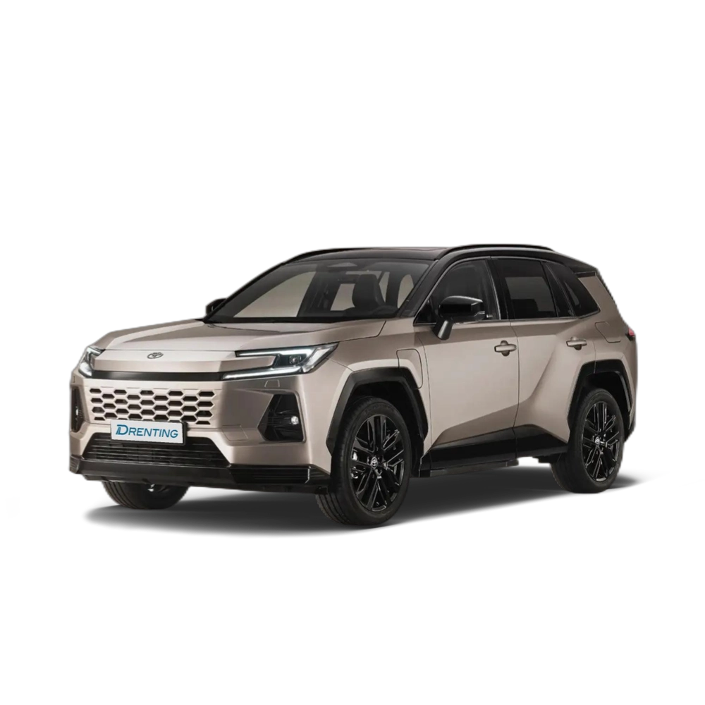 Toyota RAV 4 2.5 hybrid 4WD Advance 3