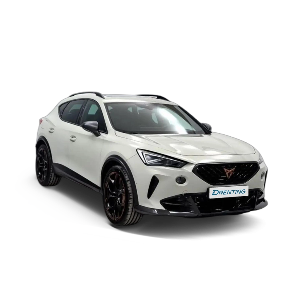 CUPRA Formentor 2.5 TSI 390 VZ5 DSG 4Drive Gris