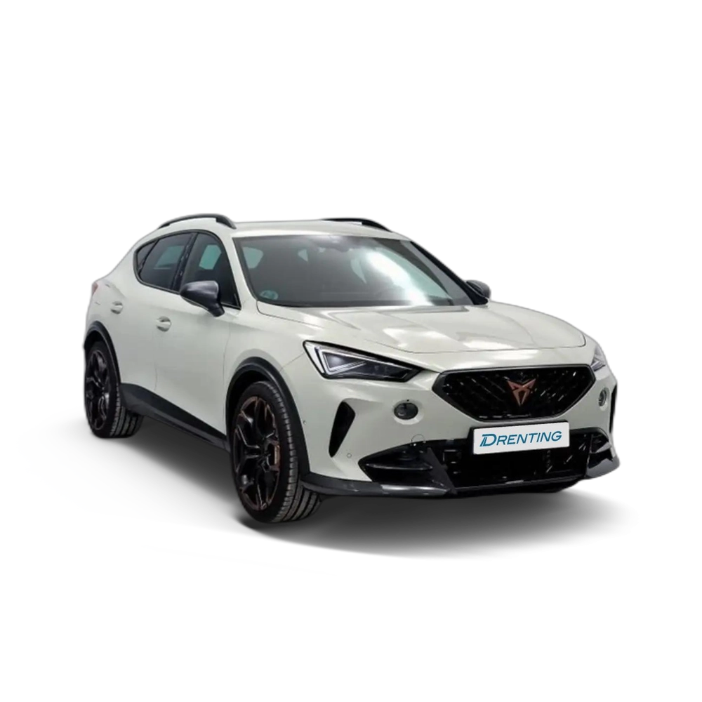 CUPRA Formentor 2.5 TSI 390 VZ5 DSG 4Drive Gris