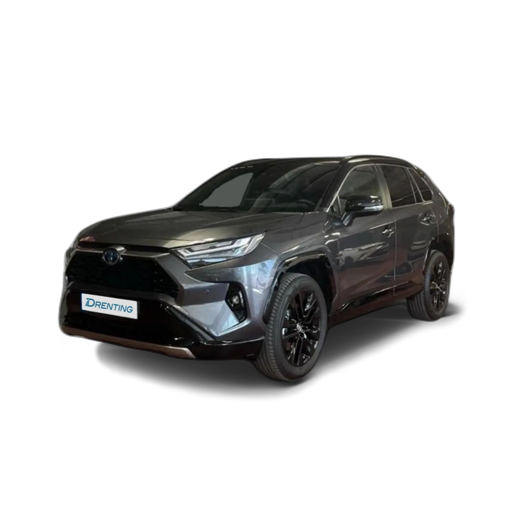 Toyota RAV 4 220H Style Gris