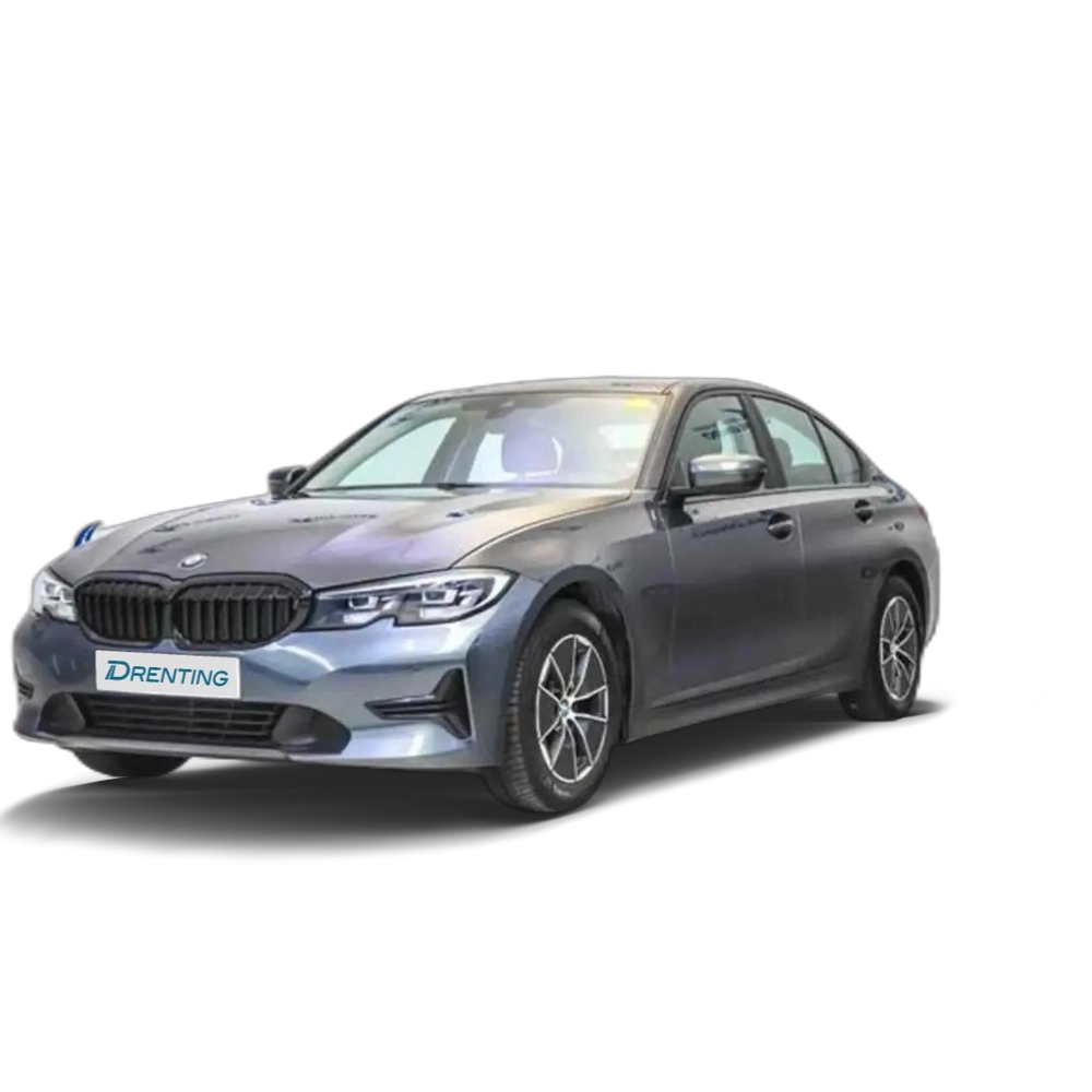 BMW 318 318d Auto. Gris