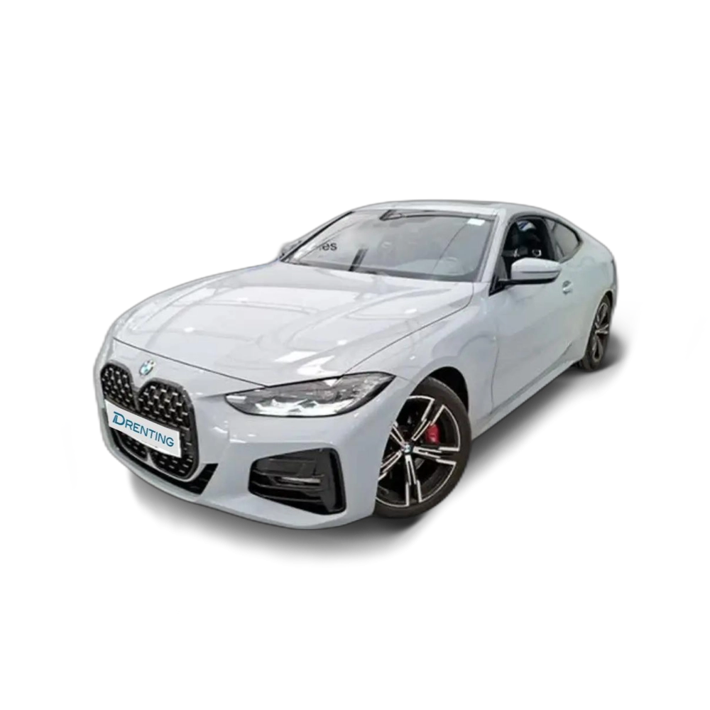 BMW 420 420i Gris