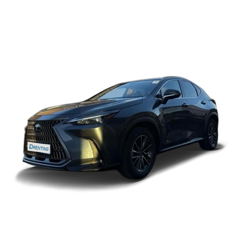 Renting Lexus NX 450h+ 450H + PREMIUM+ 4WD Gris