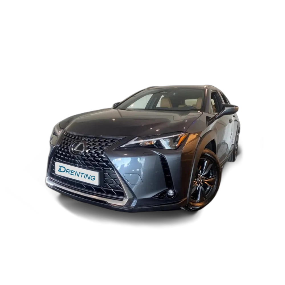 Lexus UX 300h + Gris