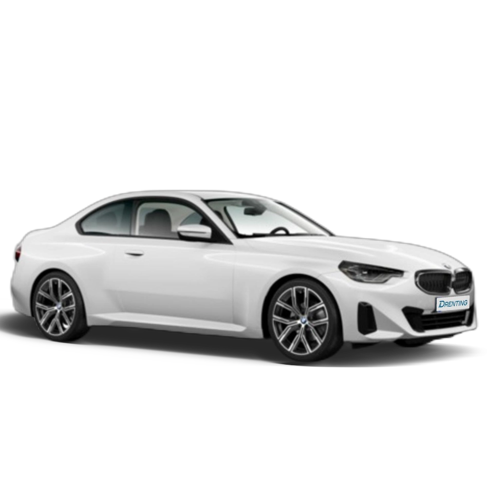Renting BMW Serie 2 220d Coupe 140 kW (190 CV) 1