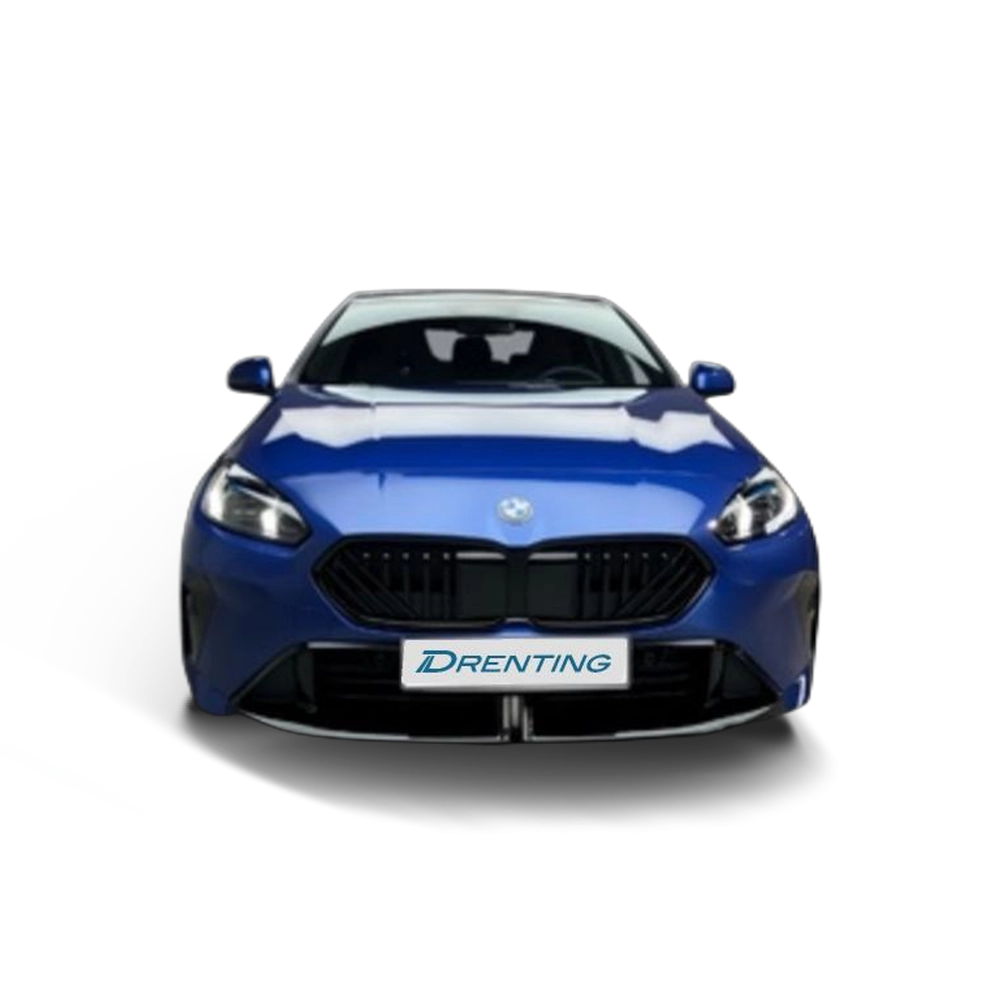 Renting BMW Serie 2 220d Gran Coupe 120 kW (163 CV) 9
