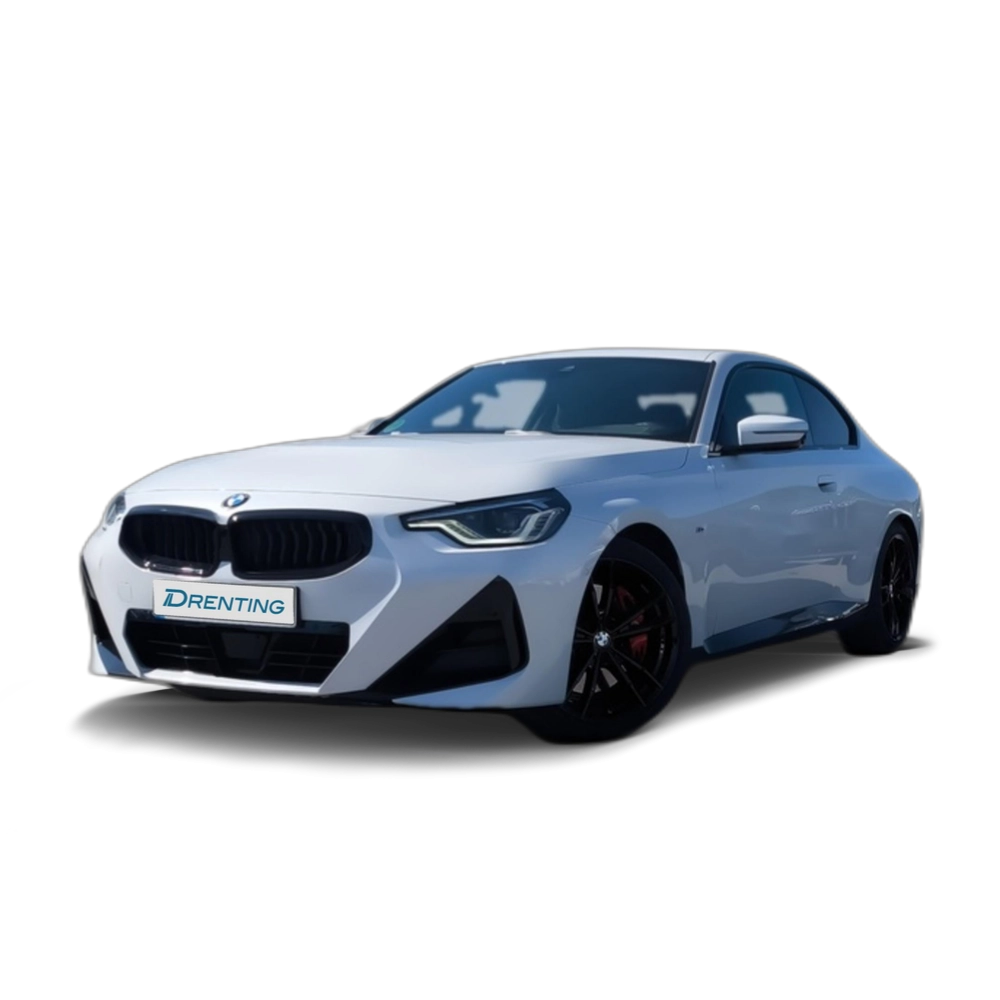 BMW Serie 2 220i Coupe 135 kW (184 CV)