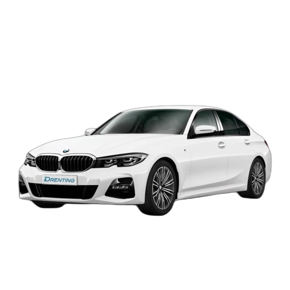 BMW Serie 3 318d 110 kW (150 CV) 1
