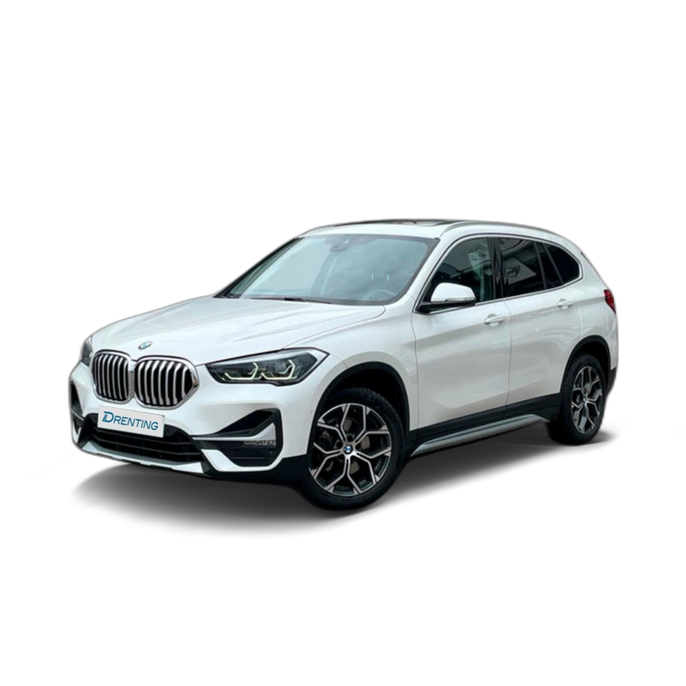 BMW X1 sDrive18d 110 kW (150 CV) 6 31
