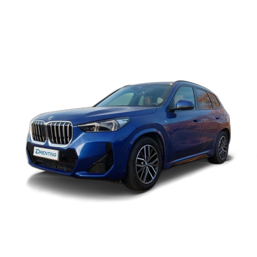 BMW X1 sDrive18d 110 kW (150 CV) 6 38