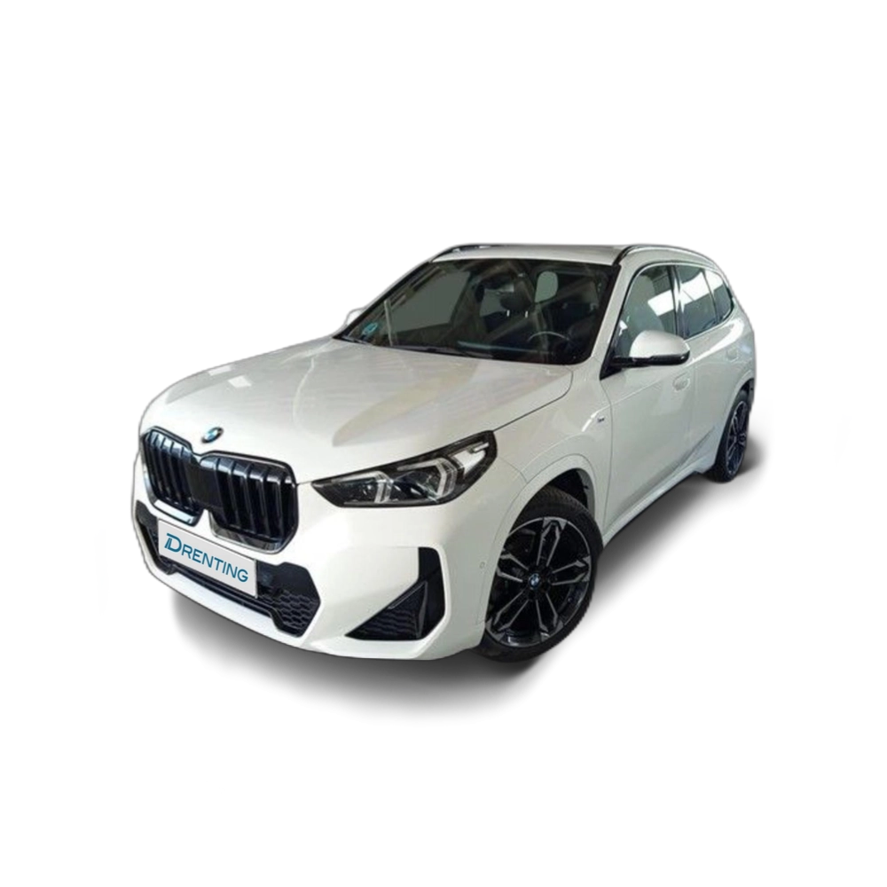 BMW X1 sDrive18d 110 kW (150 CV) 6 41