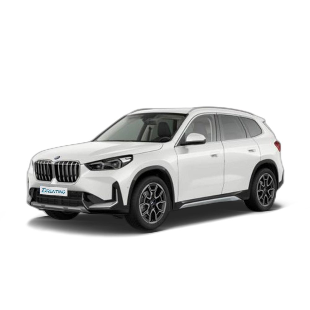 Renting BMW X1 sDrive18i 100 kW (136 CV) 11