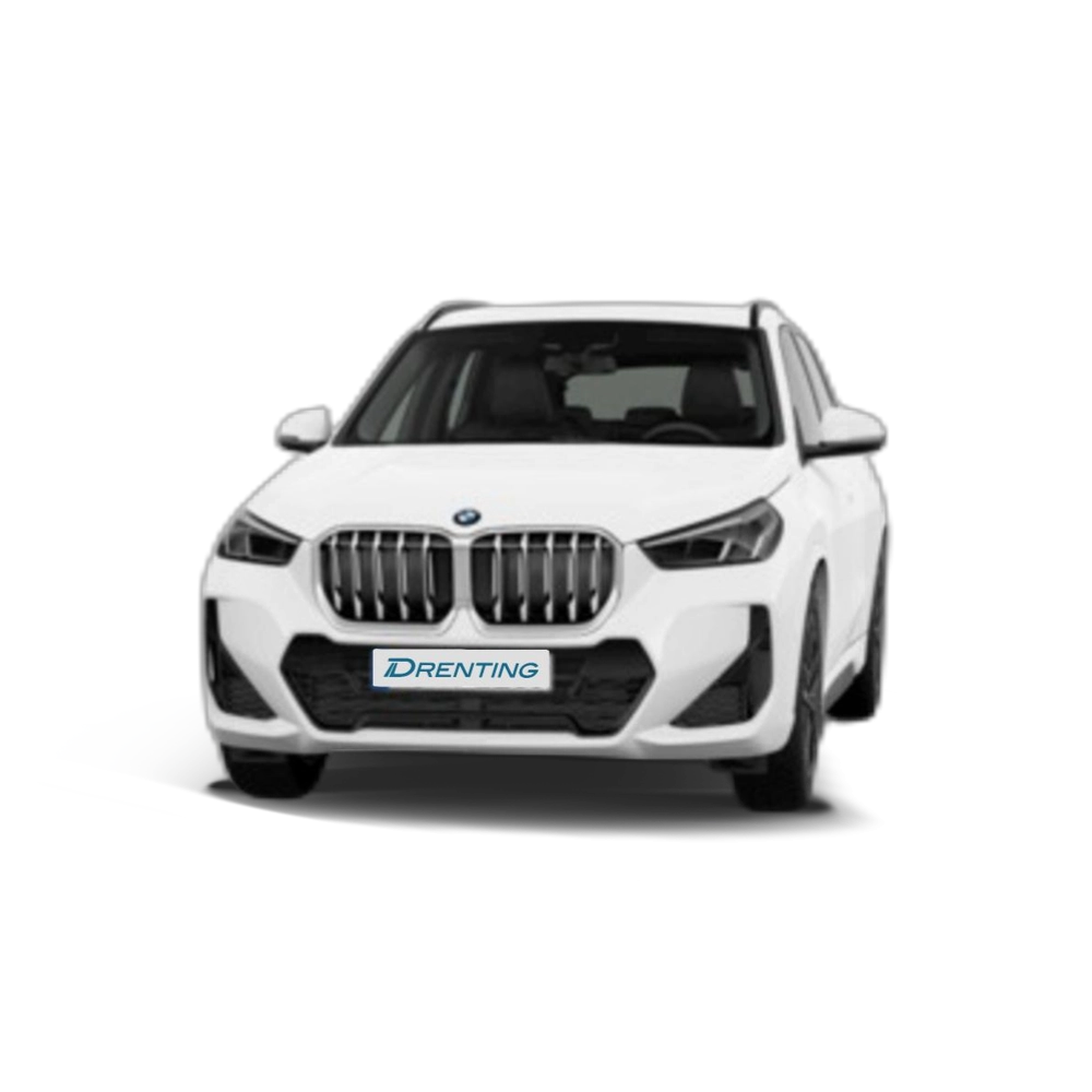 Renting BMW X1 sDrive20d 120 kW (163 CV) 13