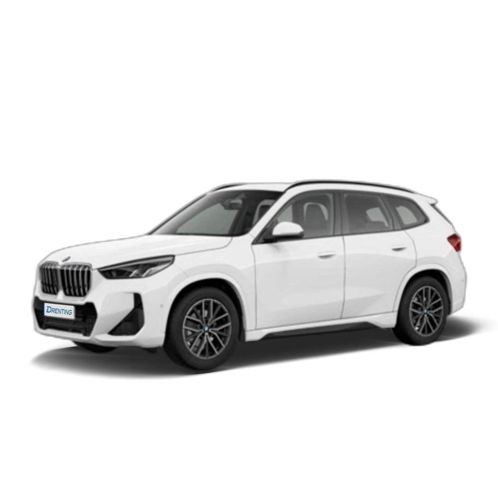 Renting BMW X1 sDrive20d 120 kW (163 CV) 13
