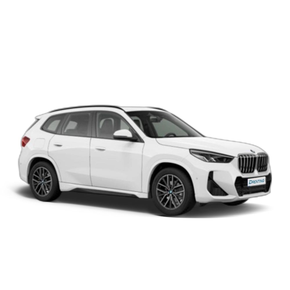 Renting BMW X1 sDrive20d 120 kW (163 CV) 13