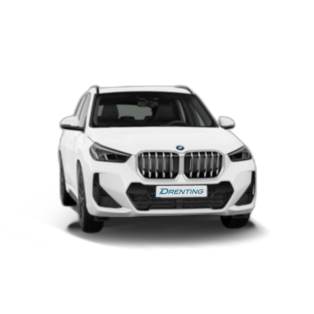 Renting BMW X1 sDrive20d 120 kW (163 CV) 13