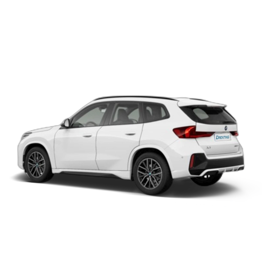 Renting BMW X1 sDrive20d 120 kW (163 CV) 13