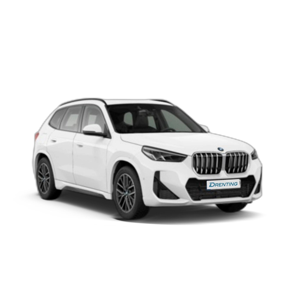Renting BMW X1 sDrive20d 120 kW (163 CV) 13