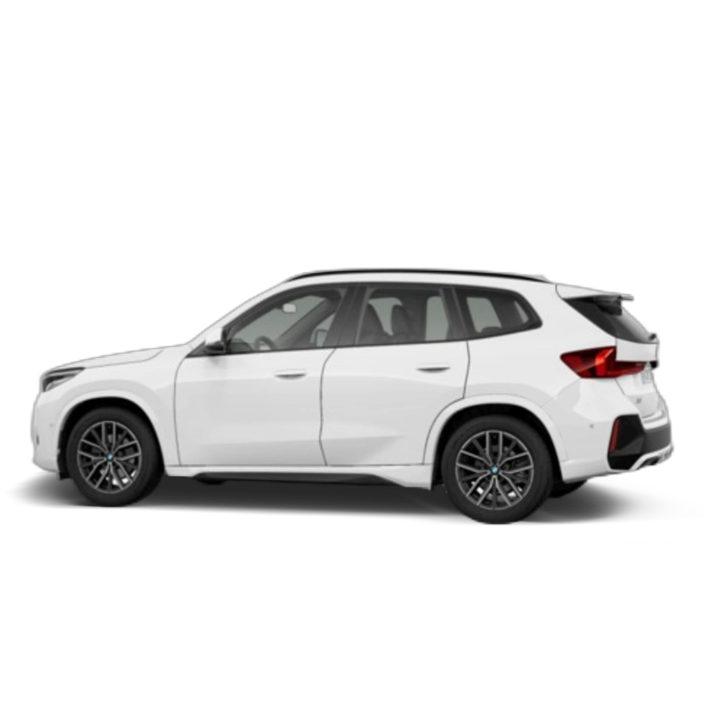 Renting BMW X1 sDrive20d 120 kW (163 CV) 13