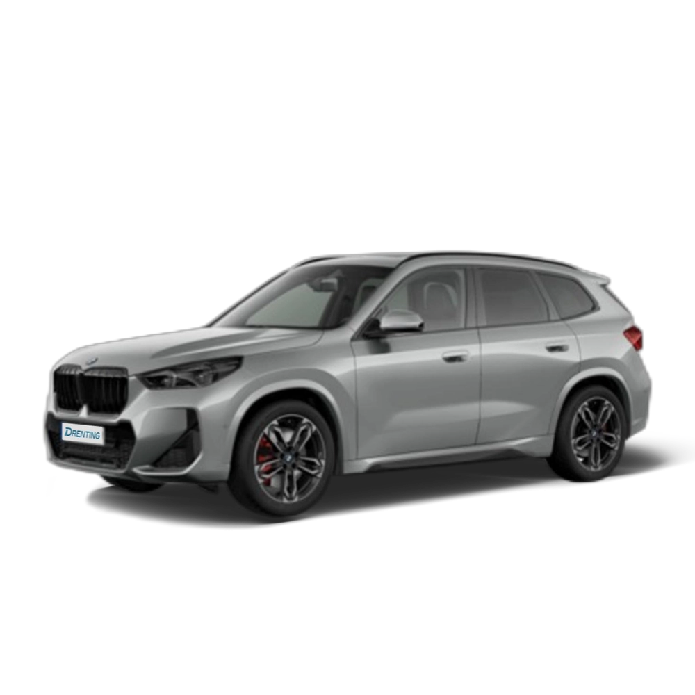 Renting BMW X1 sDrive20d 120 kW (163 CV) 15
