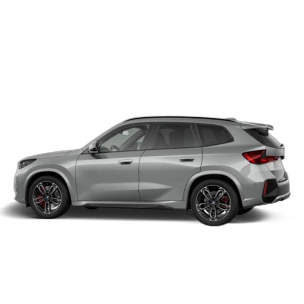 Renting BMW X1 sDrive20d 120 kW (163 CV) 15