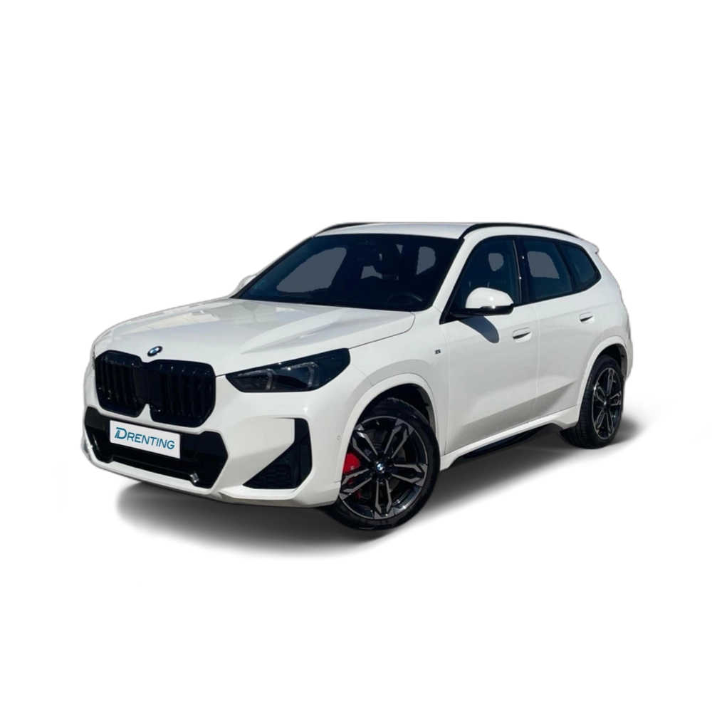 BMW X1 sDrive20d 120 kW (163 CV) 15 2
