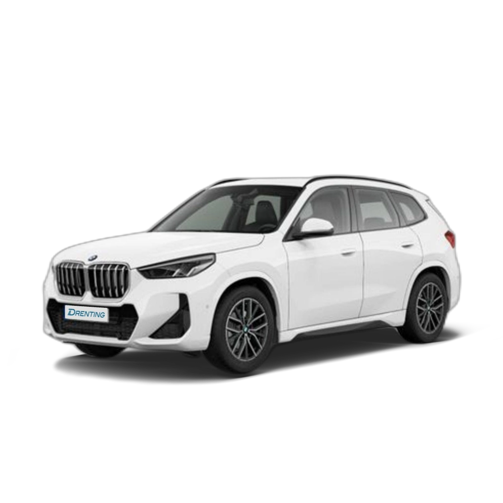 BMW X1 sDrive20d 120 kW (163 CV) 16