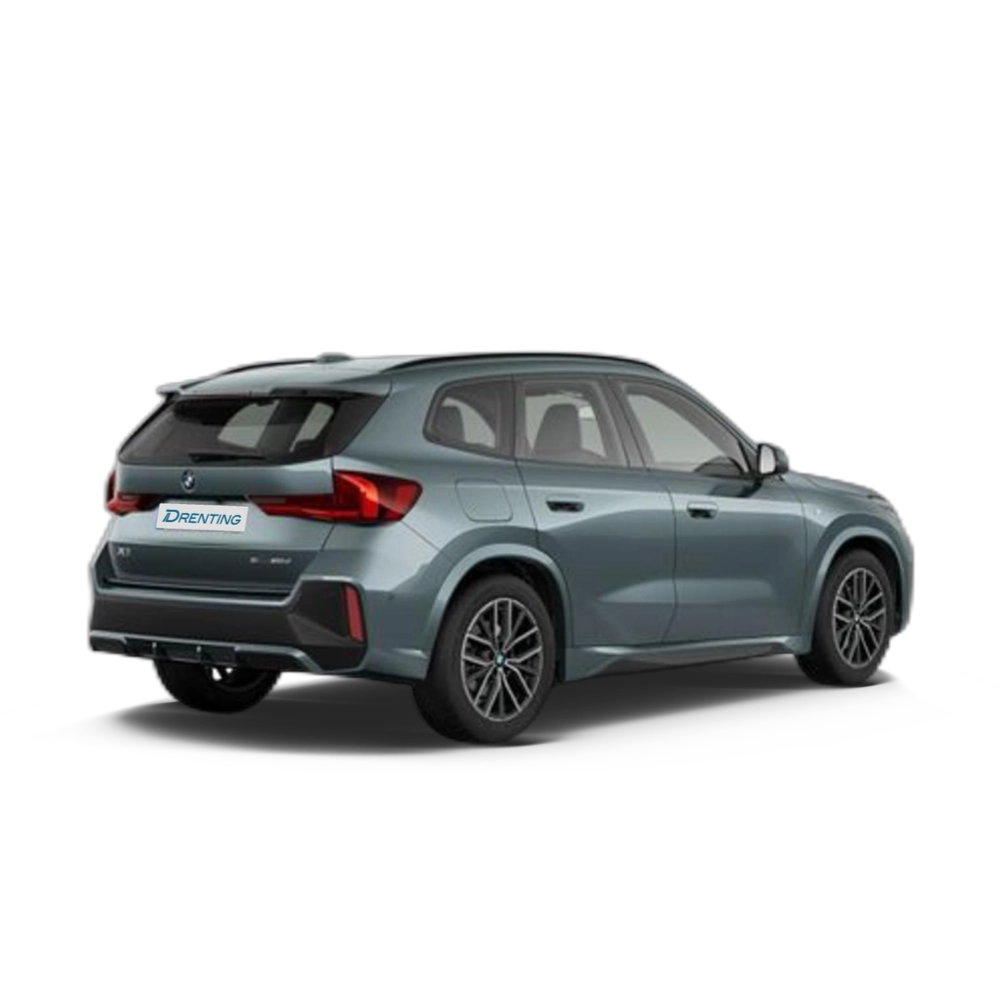 Renting BMW X1 sDrive20d 120 kW (163 CV) 27 8