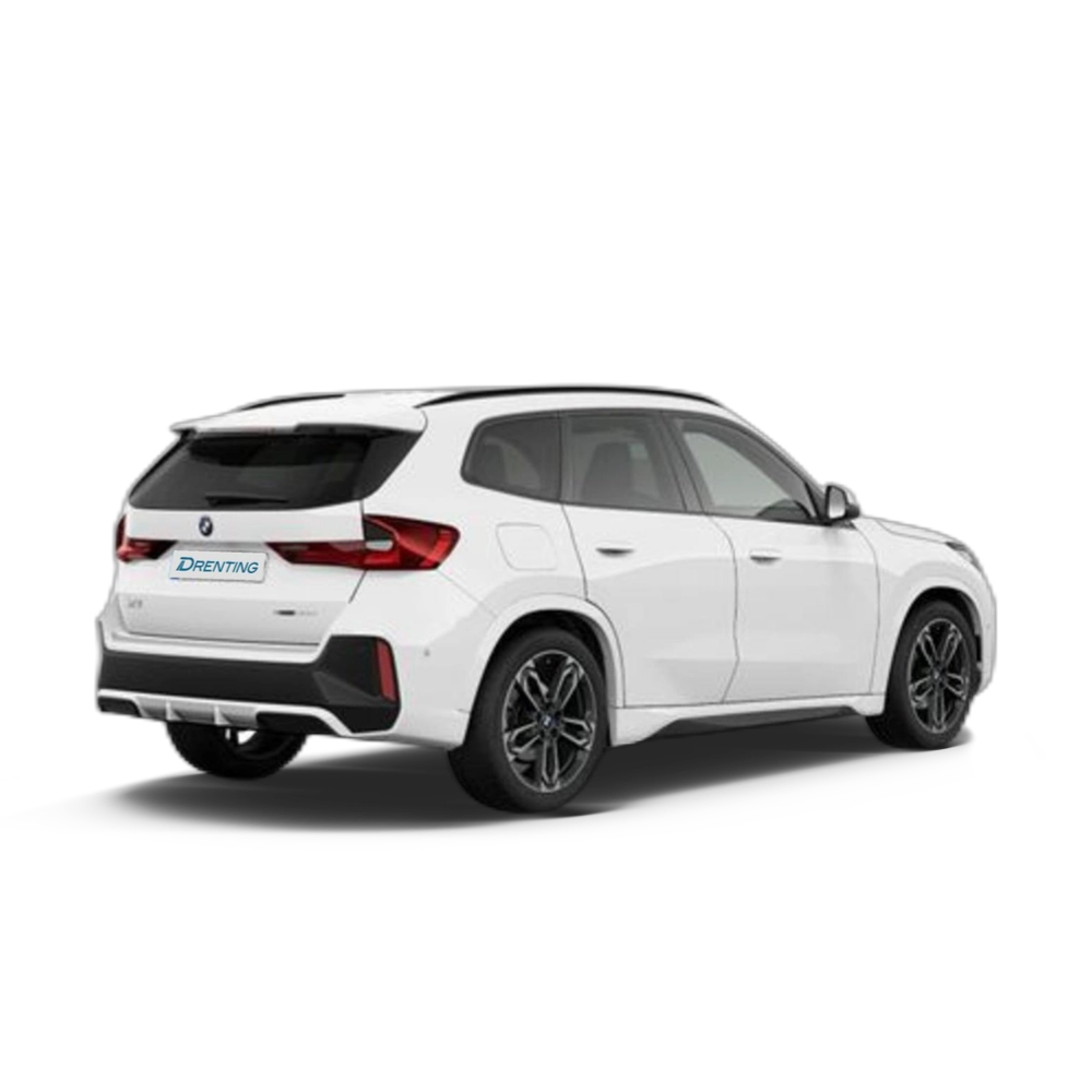Renting BMW X1 sDrive20d 120 kW (163 CV) 27 9