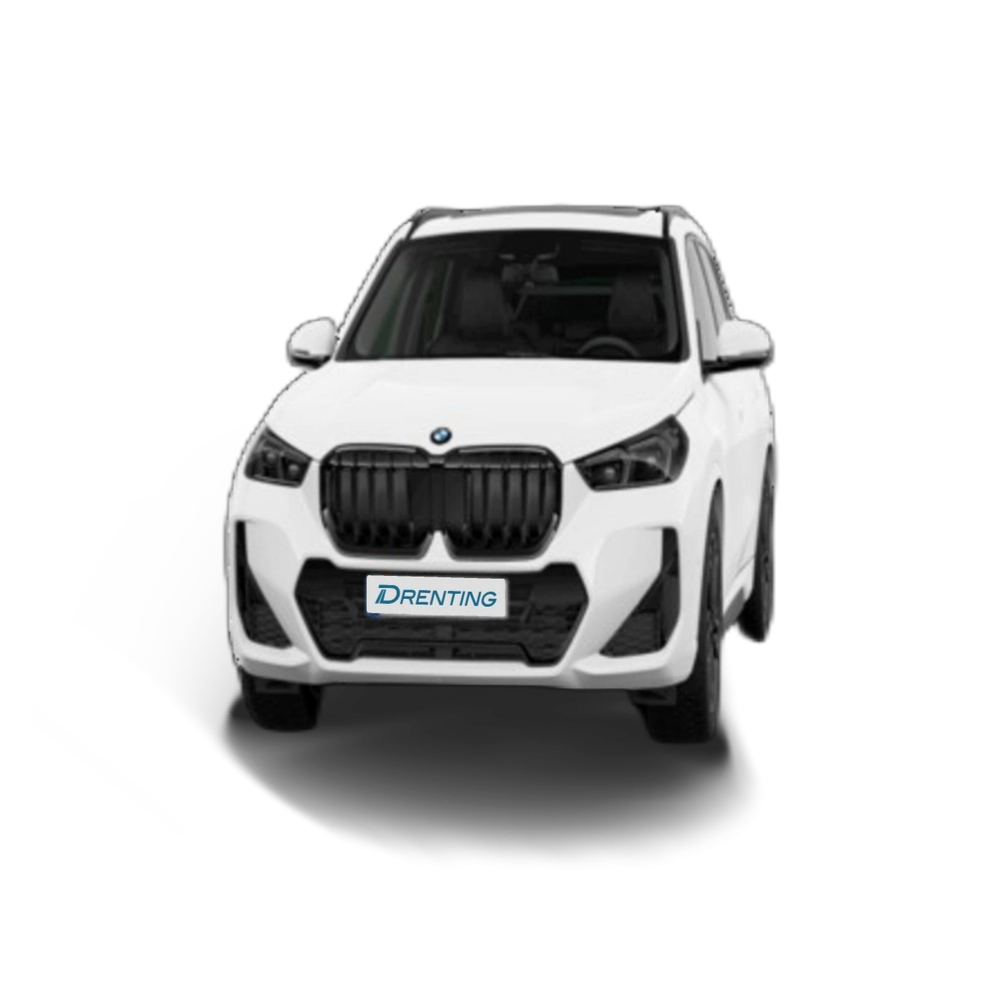 Renting BMW X1 sDrive20d 120 kW (163 CV) 27 10