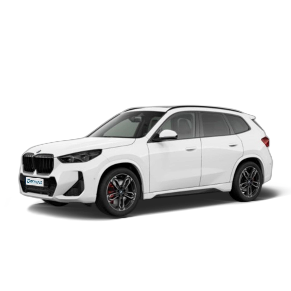 Renting BMW X1 sDrive20d 120 kW (163 CV) 27 10