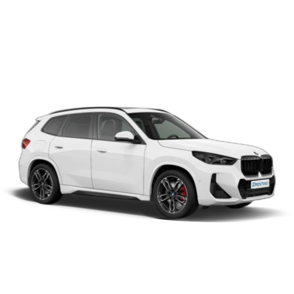 Renting BMW X1 sDrive20d 120 kW (163 CV) 27 10
